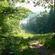 <p>Lanškrounské rybníky, pohled na rybník z lesní pěšiny - vyhlídka</p>